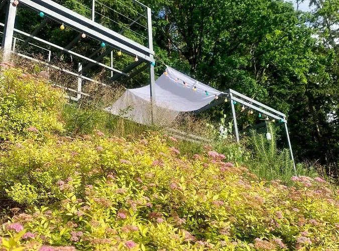 Zdroj Apartment Kudowa Zdroj